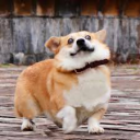 FuzzywaziOfficial